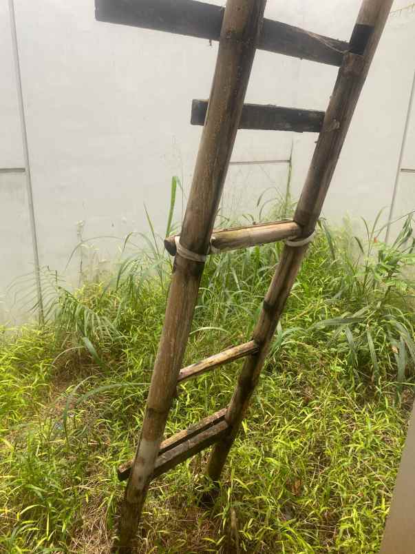 di jual rumah imajihaus minimalis siaphuni bsd city