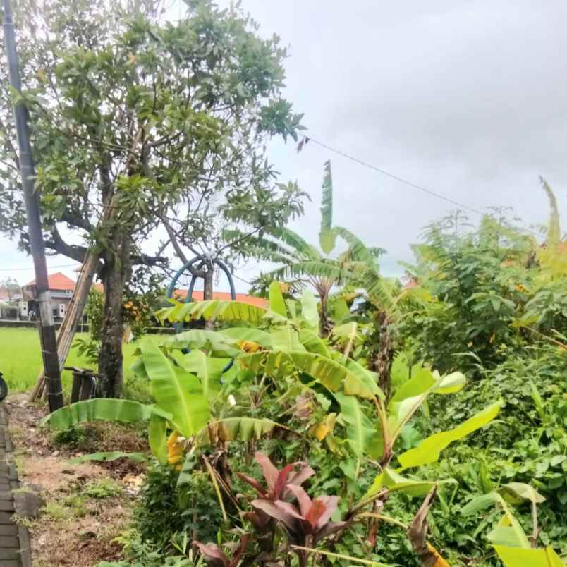 dijual 16 are jl taman pancing timur pemogan denpasar