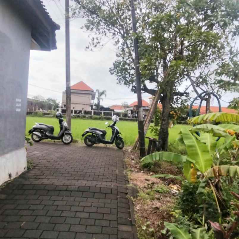 dijual 16 are jl taman pancing timur pemogan denpasar