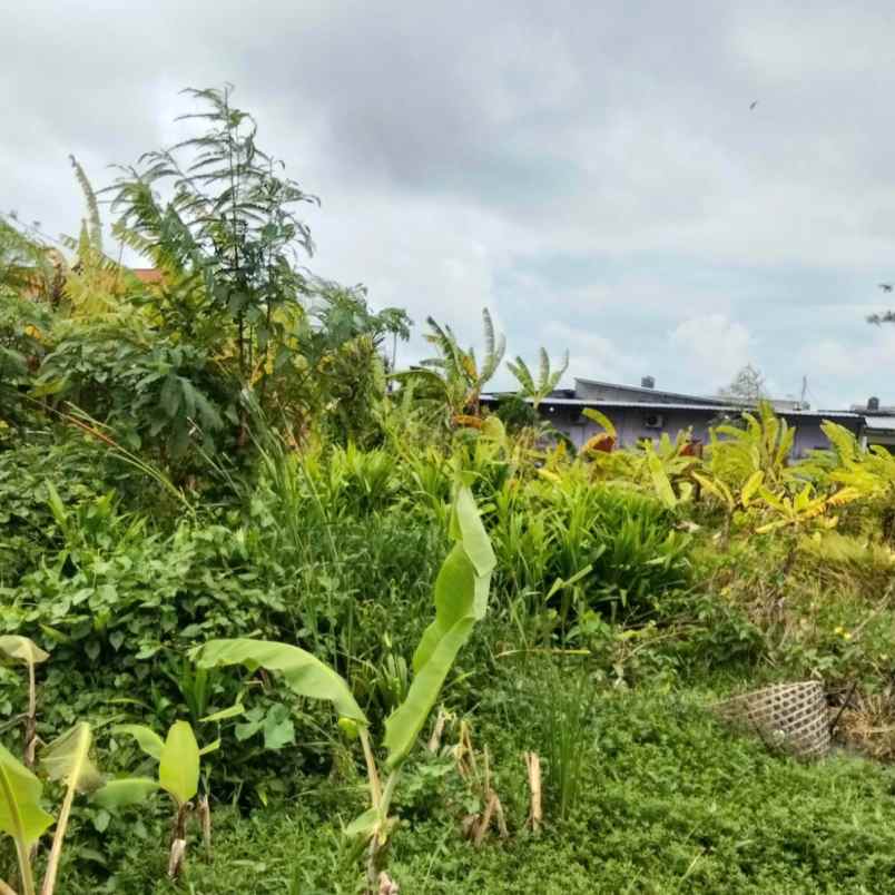 dijual 16 are jl taman pancing timur pemogan denpasar