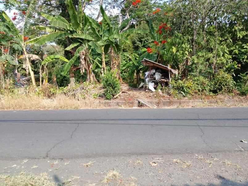 dijual lahan di pinggir jalan utama kelating