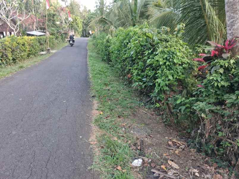 dijual lahan kebun prospektif pinggir jalan hotmix