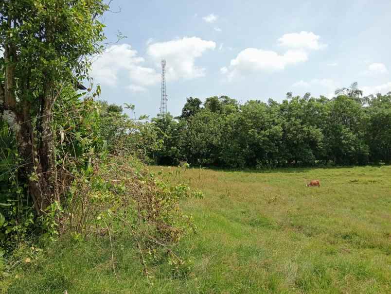 dijual lahan premium di kawasan pantai balian