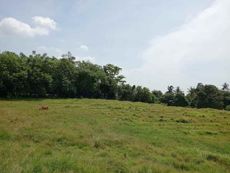 dijual lahan premium di kawasan pantai balian