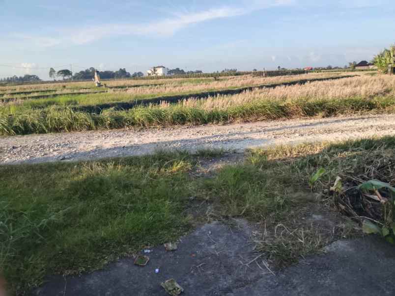 dijual lahan strategis cocok untuk bangun villa hunian
