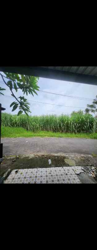 dijual rumah 500 meter jalan jogja solo