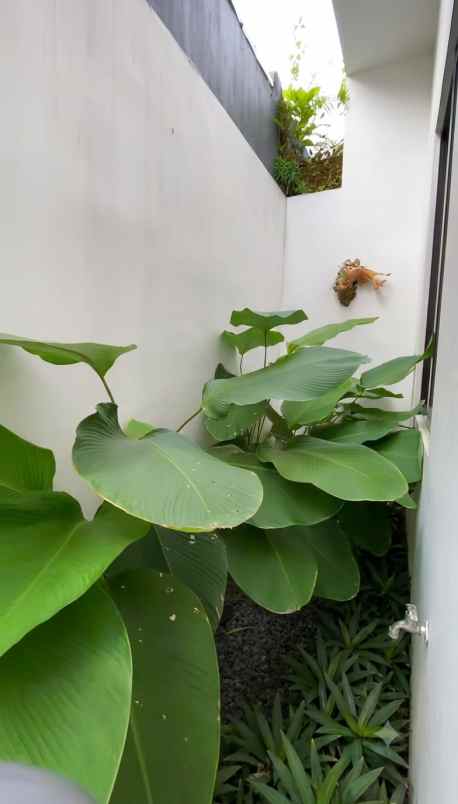 dijual rumah asrikaton pakis malang