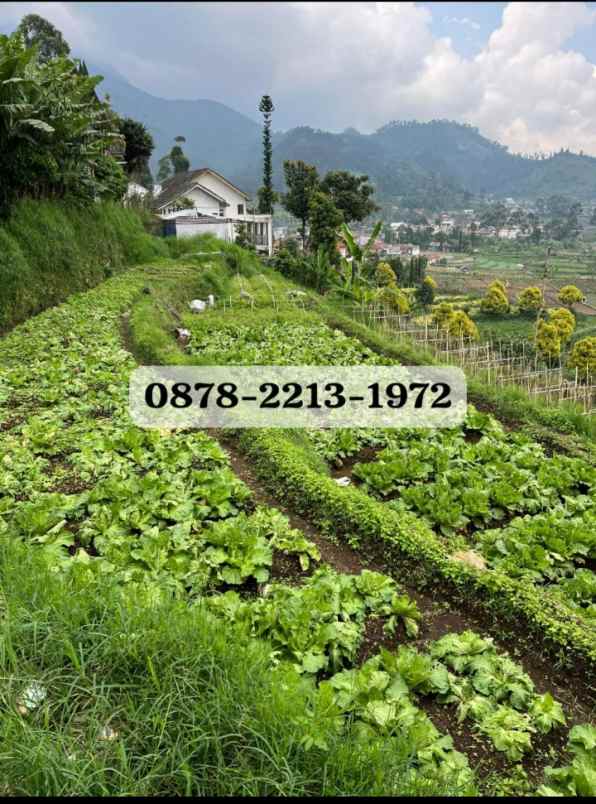 dijual rumah ciwidey kab bandung