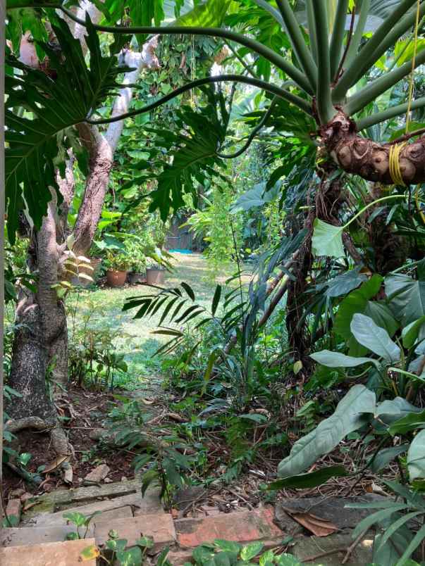 dijual rumah di jalan bangka jakarta selatan