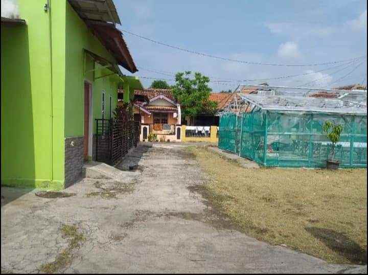 dijual rumah dijual rumah di jln garuda