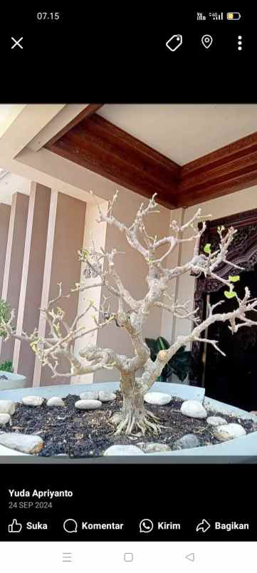 dijual rumah dijual rumah di perumahan