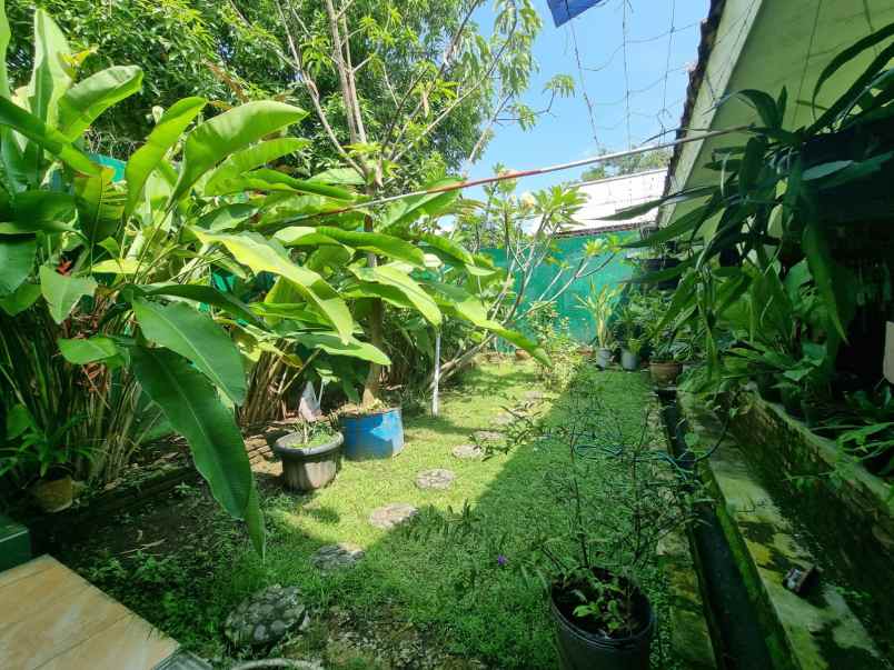 dijual rumah gaya klasik di sutawinangun cirebon