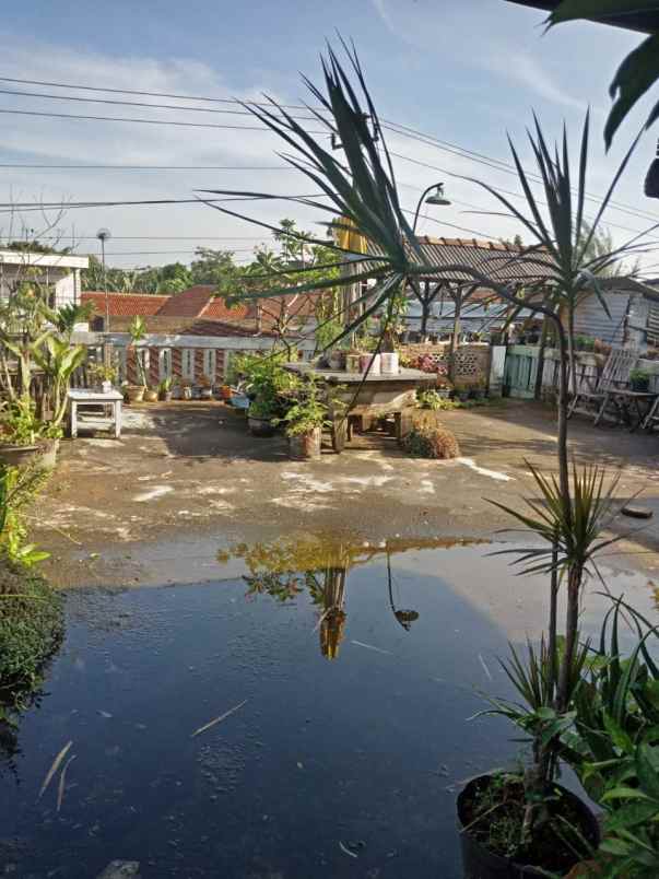 dijual rumah jalan raya jepara mlonggo