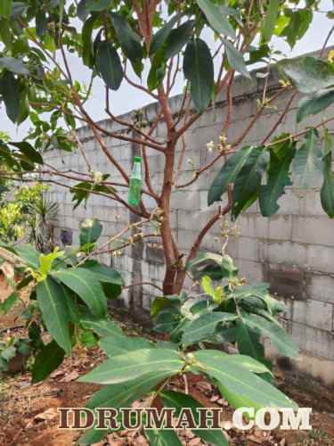 dijual rumah jl markan
