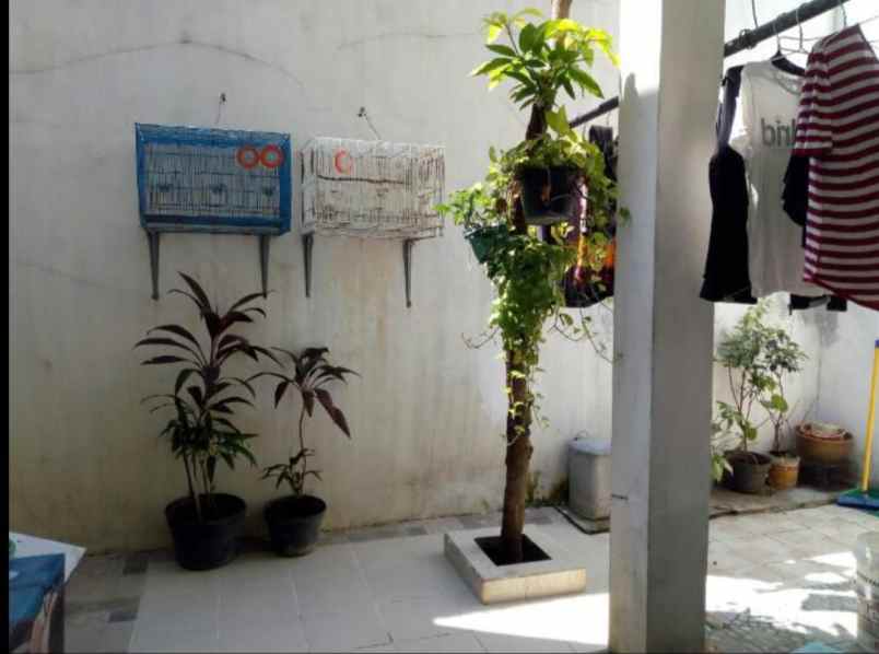 dijual rumah kapas madya