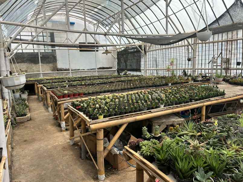 dijual rumah lembang bandung