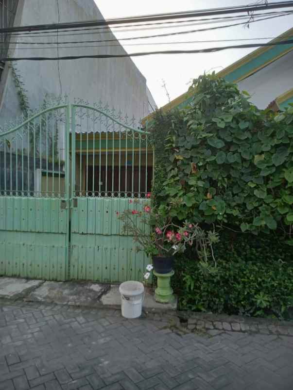 dijual rumah ploso