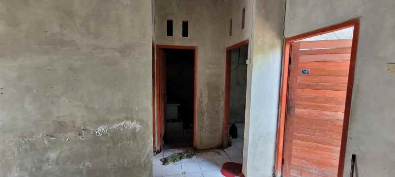 dijual rumah rp100jt di jembrana bali