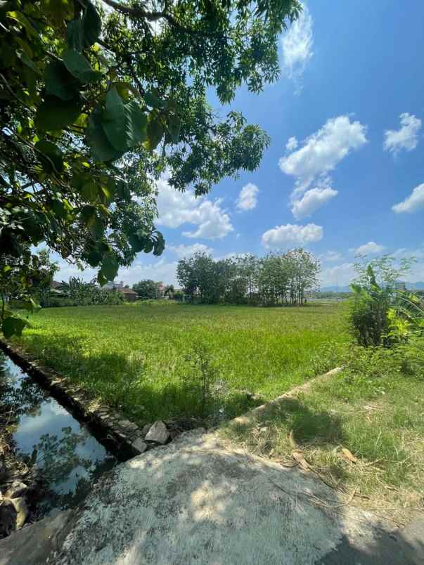 dijual tanah belakanag balai desa kel