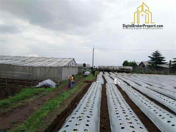 dijual tanah cisarua