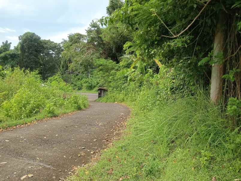 dijual tanah desa antap kec selemadeg