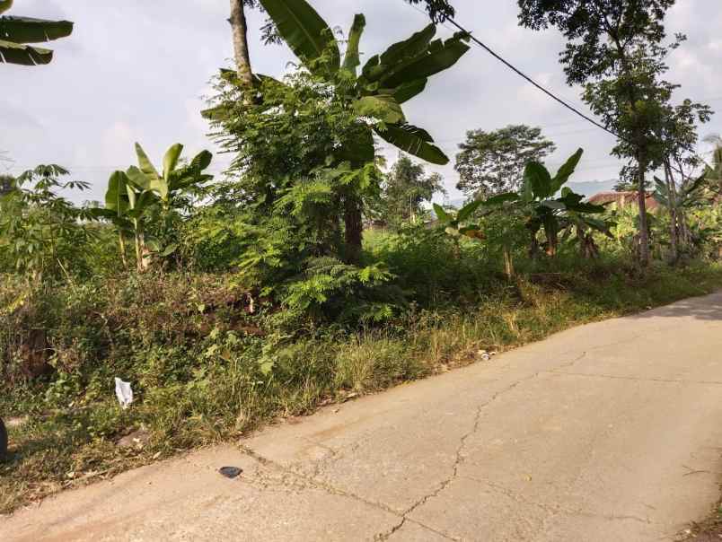 12 Ha Kebun Murah Datar Pinggir Jalan Cipatat Bandung Barat