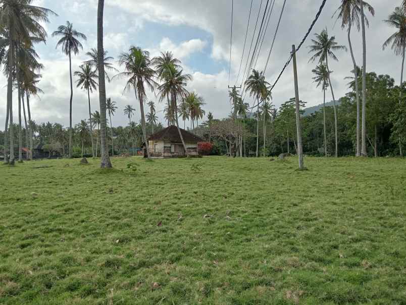 dijual tanah desa lalanglingah kec