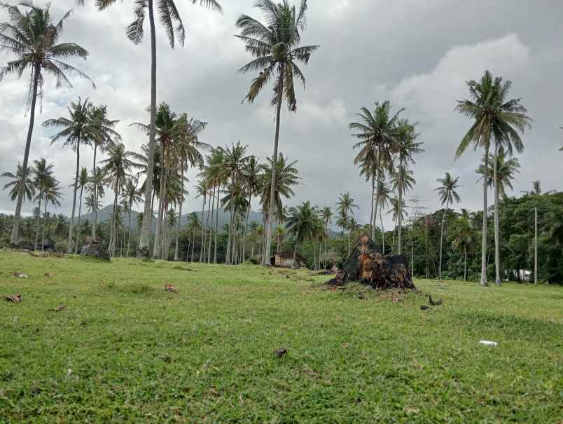 dijual tanah desa lalanglingah kec