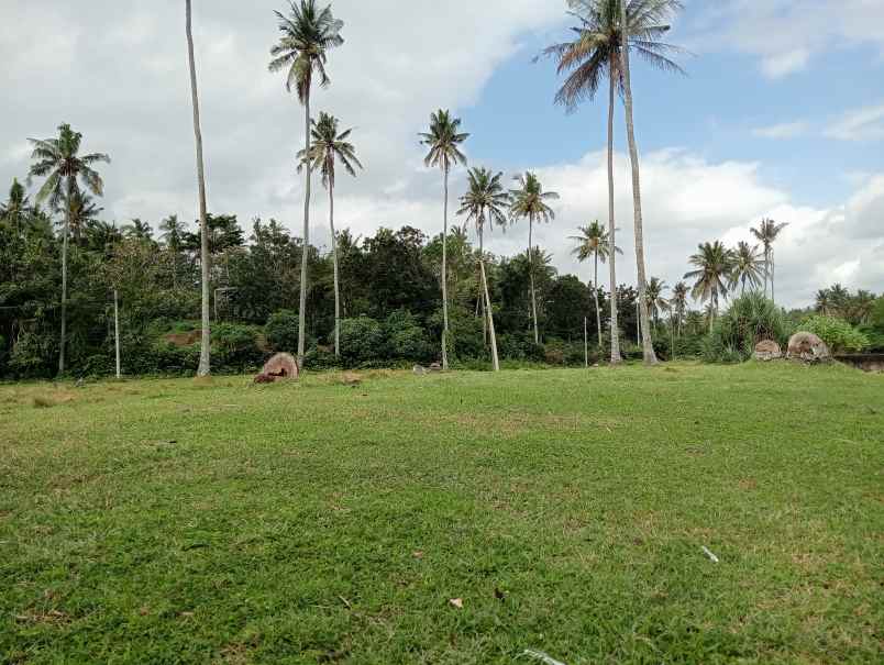 dijual tanah desa lalanglingah kec