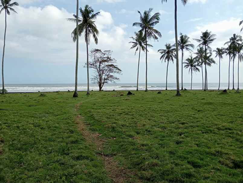 dijual tanah desa lalanglingah kec