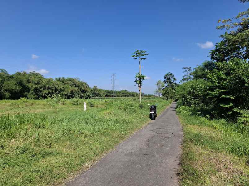 dijual tanah di kebonsari jember