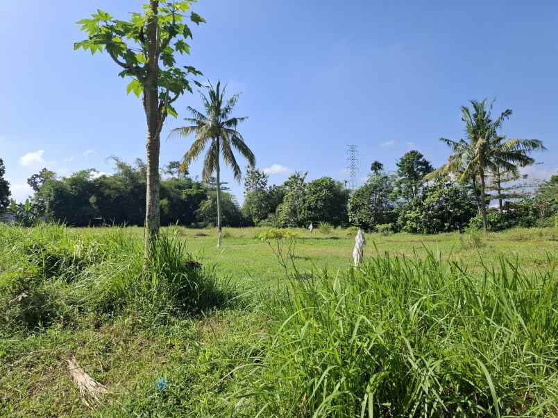 dijual tanah di kebonsari jember