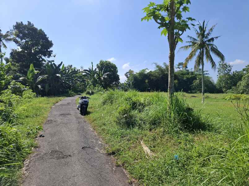 dijual tanah di kebonsari jember