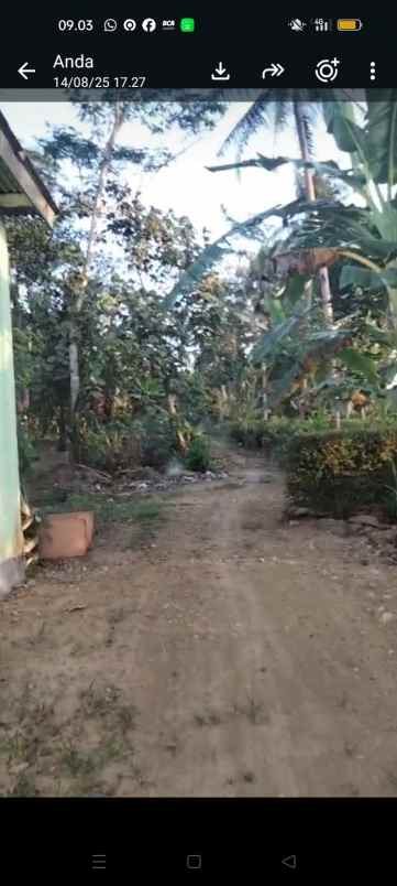 dijual tanah dijual rumah di rt 57 rw