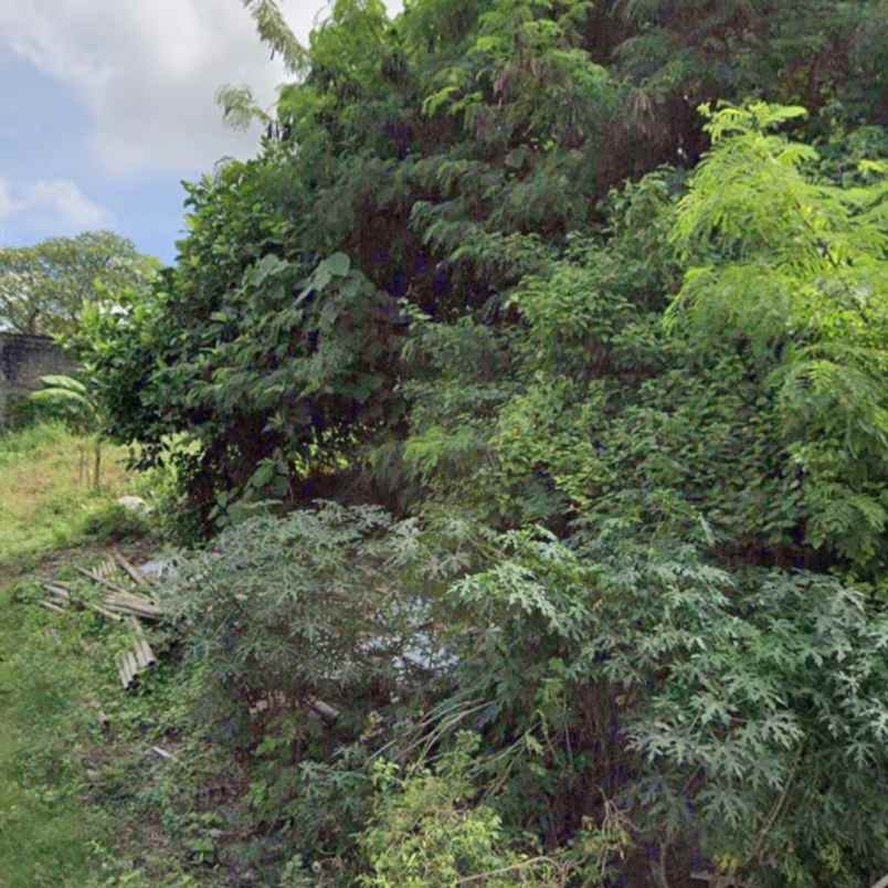 dijual tanah gatsu timur