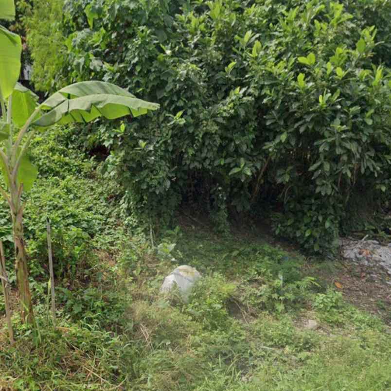 dijual tanah gatsu timur