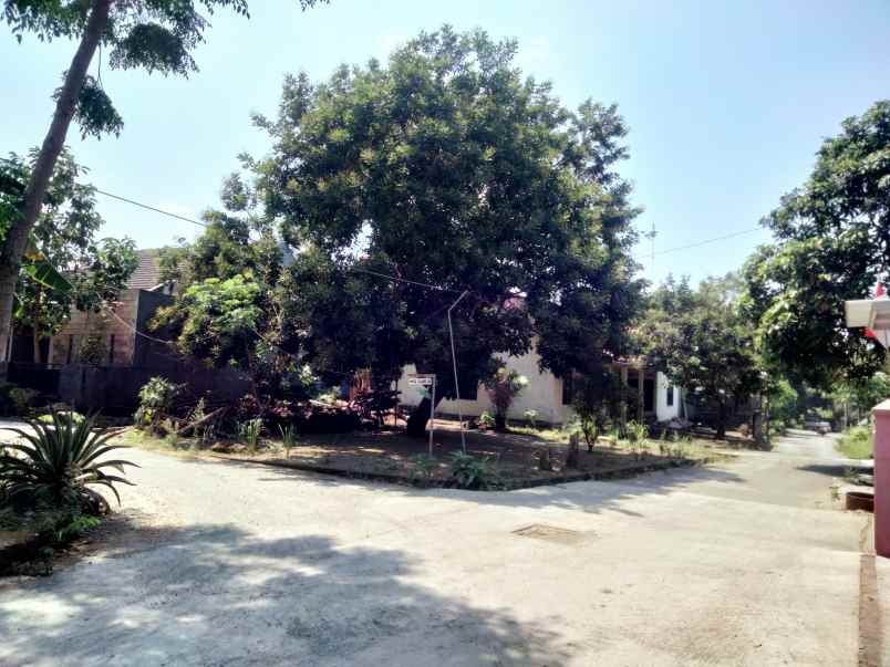 dijual tanah gg elang 4a dayakan