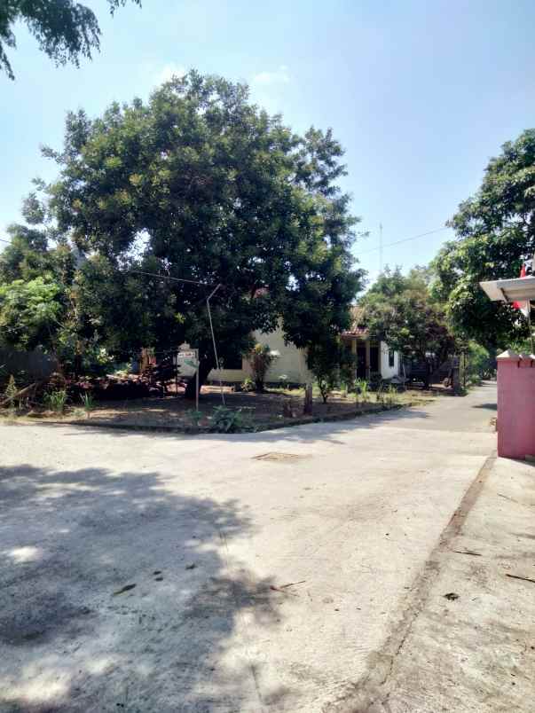 dijual tanah gg elang 4a dayakan