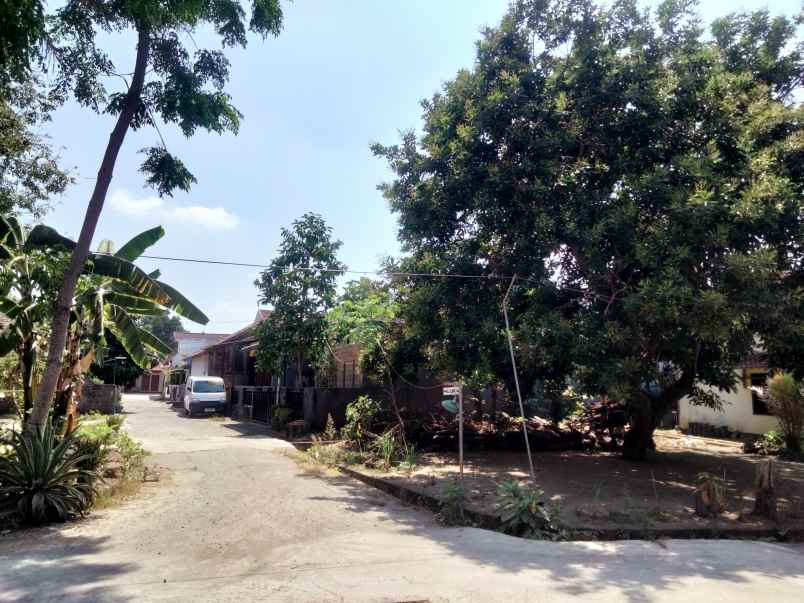 dijual tanah gg elang 4a dayakan