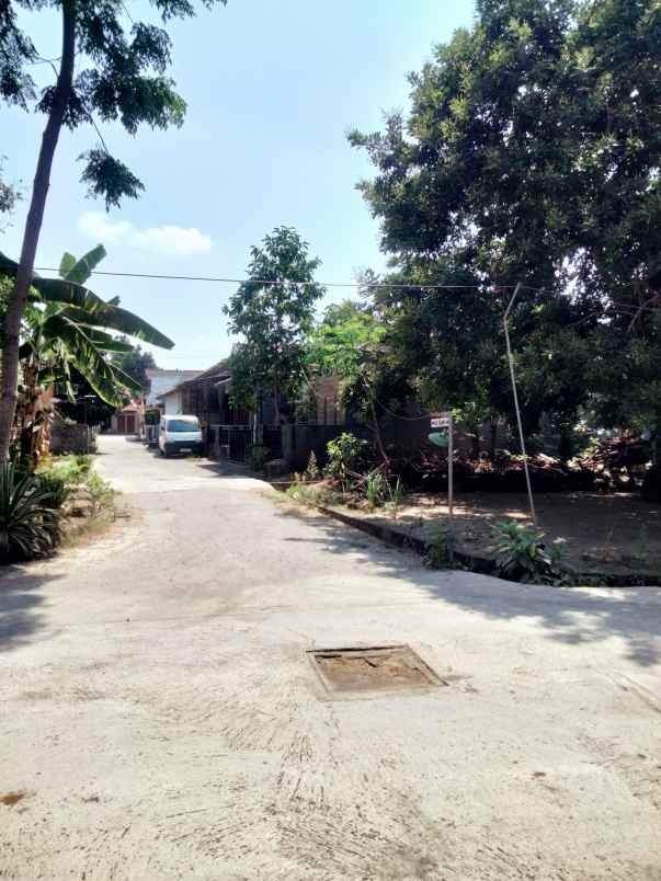 dijual tanah gg elang 4a dayakan