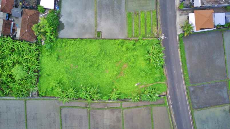 dijual tanah jalan kebo iwa pangkung