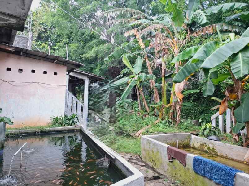 dijual tanah jalan raya pulo gebang