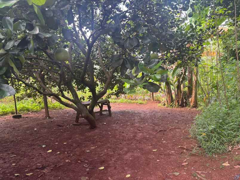 dijual tanah jalan wijaya kusuma