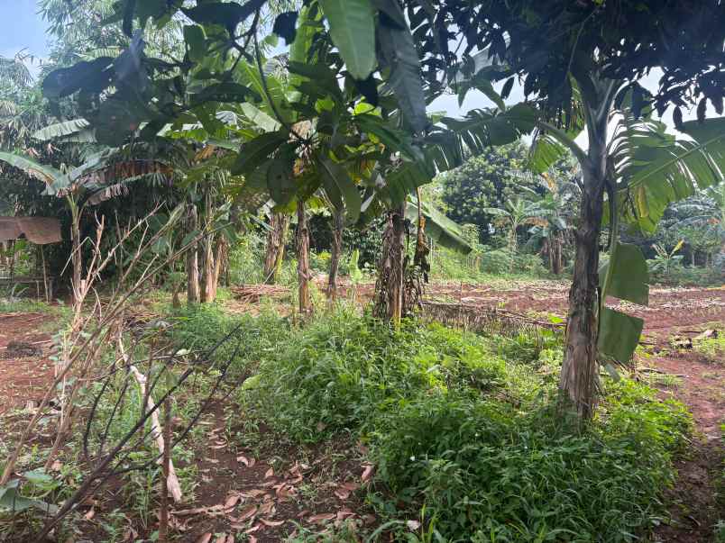 dijual tanah jalan wijaya kusuma