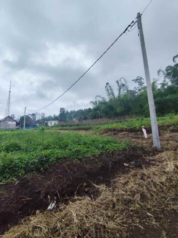 dijual tanah jalibar oro oro ombo