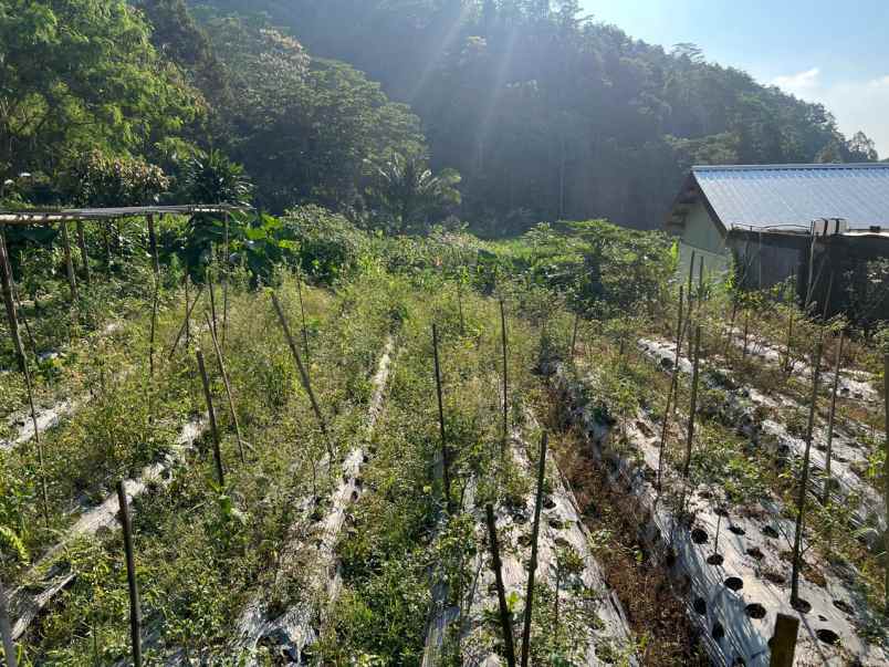 dijual tanah jenawi karanganyar