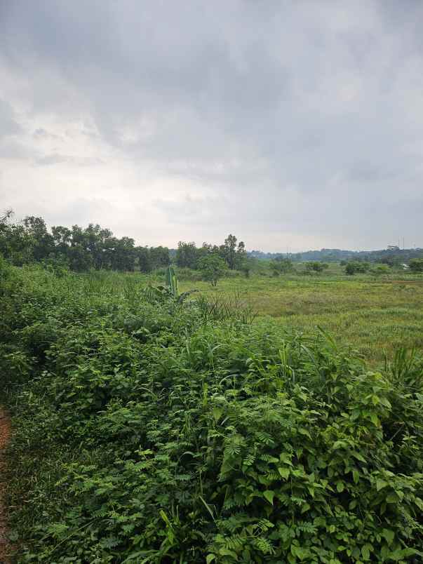 dijual tanah jl cikampek