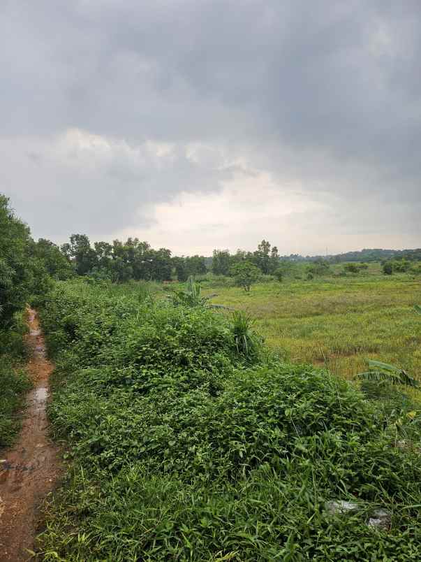 dijual tanah jl cikampek