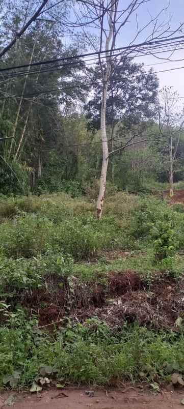 dijual tanah jl limbangan barat majasari