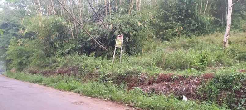 dijual tanah jl limbangan barat majasari